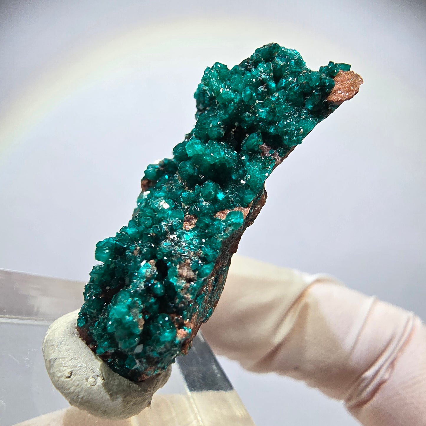 Seltene Dioptas xx auf Matrix Stufe Tsumeb Mine, Namibia 38*22*11mm