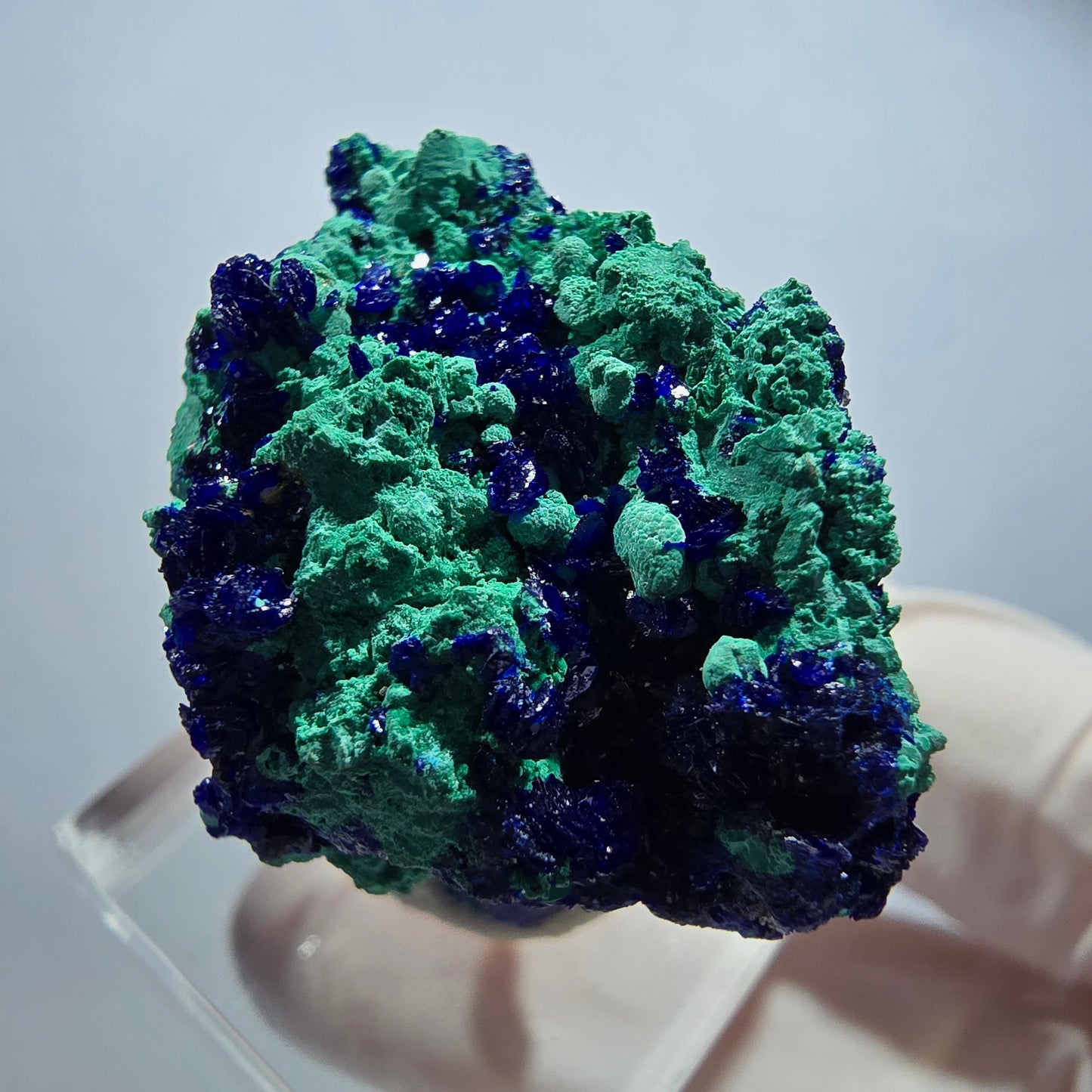 Seltene Azurit, Malachit auf Matrix Stufe Tsumeb Mine, Namibia 33*32*19mm