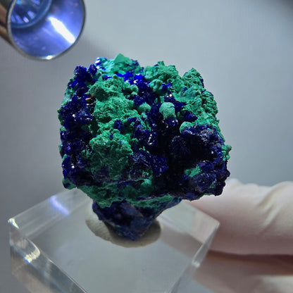 Seltene Azurit, Malachit auf Matrix Stufe Tsumeb Mine, Namibia 33*32*19mm