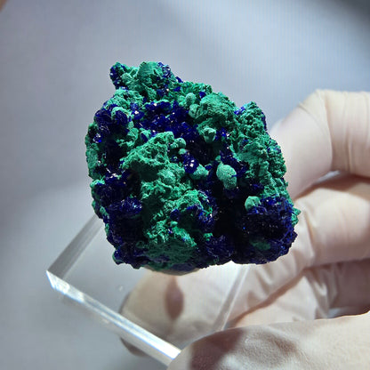 Seltene Azurit, Malachit auf Matrix Stufe Tsumeb Mine, Namibia 33*32*19mm