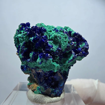 Seltene Azurit, Malachit auf Matrix Stufe Tsumeb Mine, Namibia 33*32*19mm