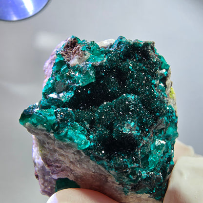Seltene Dioptas XX, Mottramit auf Matrix Stufe Tsumeb Mine, Namibia 41*34*19mm