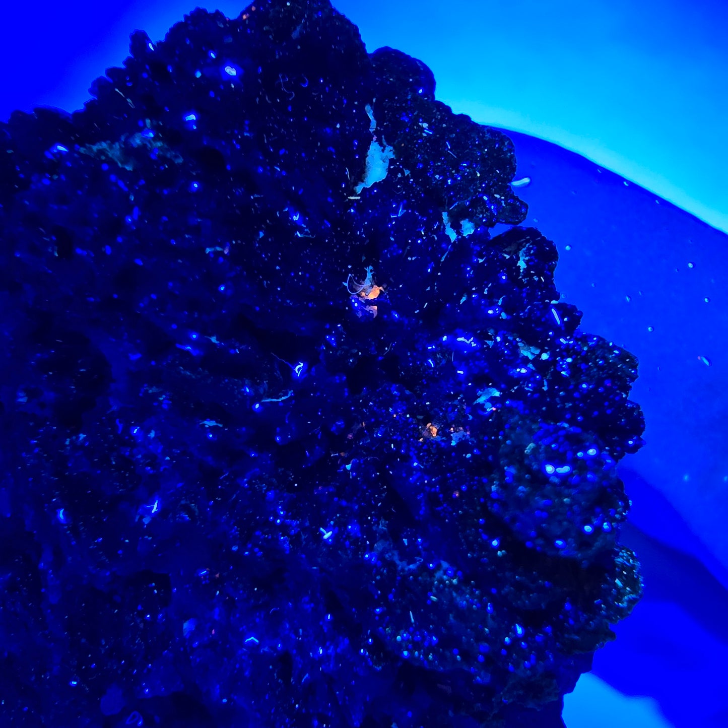 Seltene Azurit XX, Malachit Stufe Tsumeb Mine, Namibia 50*40*26mm