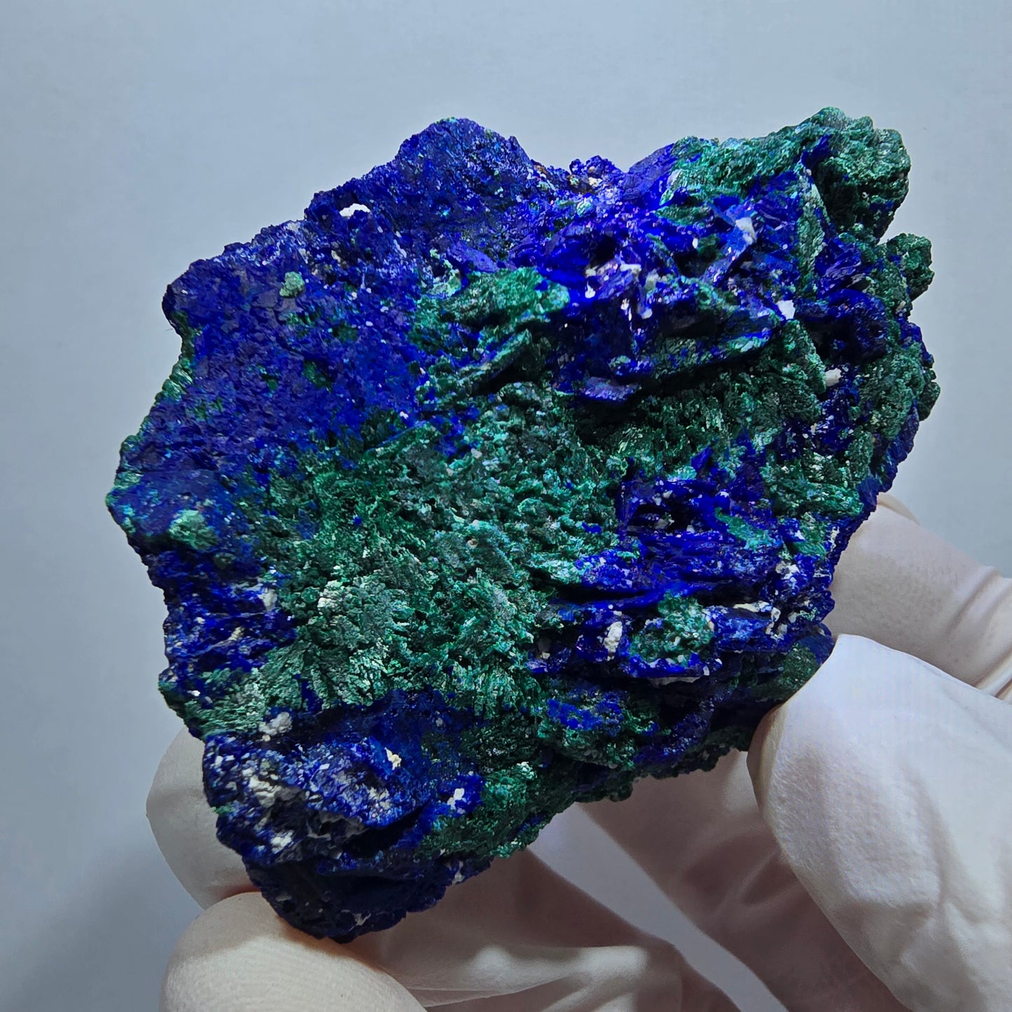 Seltene Azurit XX, Malachit Stufe Tsumeb Mine, Namibia 60*44*24mm