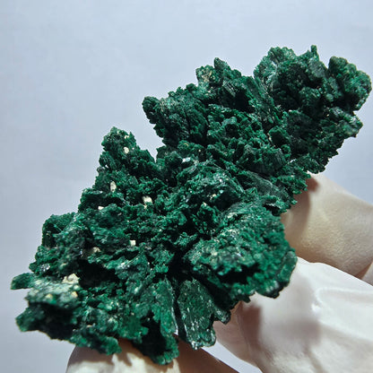 Seltene Malachit XX Stufe, grün Tsumeb Mine, Namibia 48*28*16mm