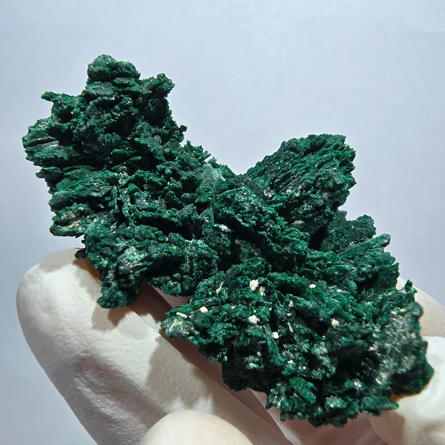 Seltene Malachit XX Stufe, grün Tsumeb Mine, Namibia 48*28*16mm