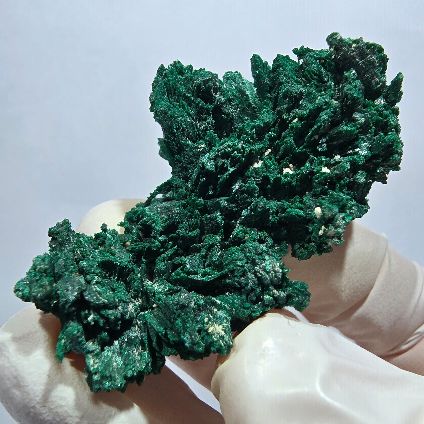 Seltene Malachit XX Stufe, grün Tsumeb Mine, Namibia 48*28*16mm