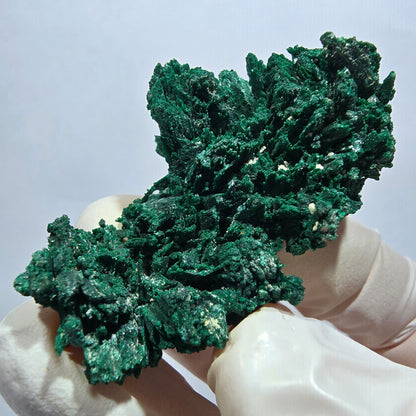 Seltene Malachit XX Stufe, grün Tsumeb Mine, Namibia 48*28*16mm