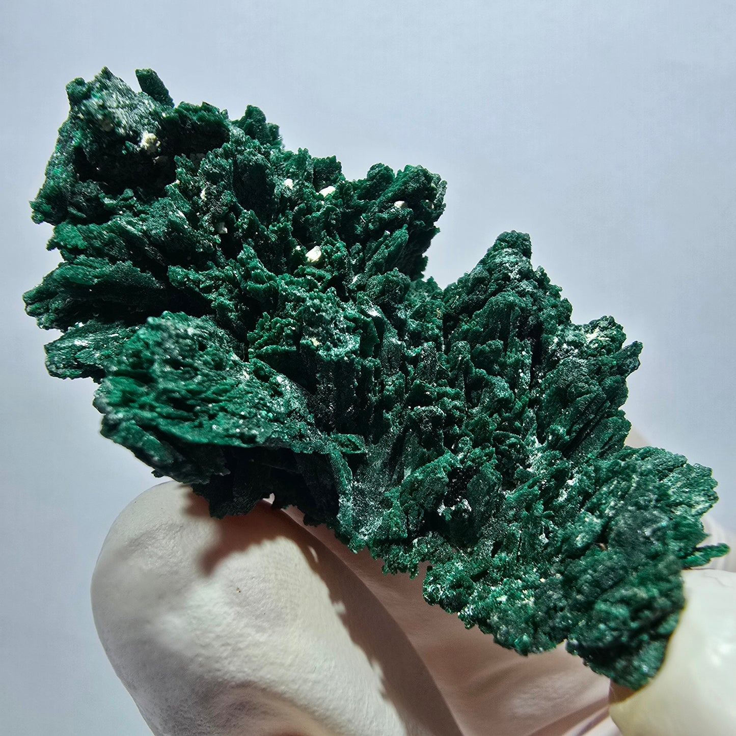 Seltene Malachit XX Stufe, grün Tsumeb Mine, Namibia 48*28*16mm