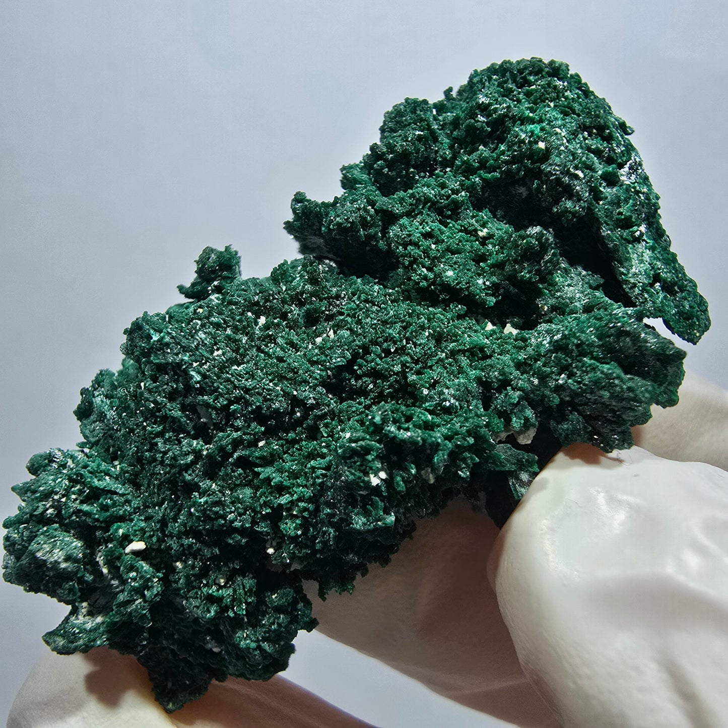 Seltene Malachit XX Stufe, grün Tsumeb Mine, Namibia 48*28*16mm