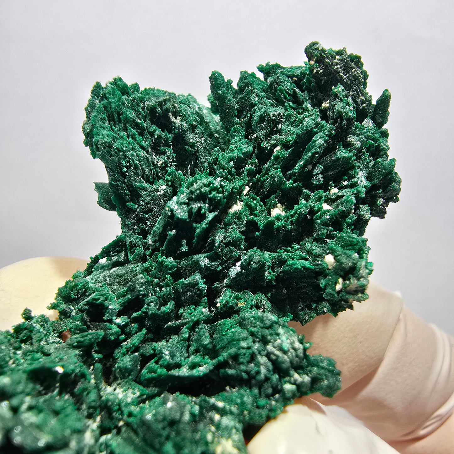 Seltene Malachit XX Stufe, grün Tsumeb Mine, Namibia 48*28*16mm