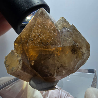 Seltene Rauchquarz Zepter , Orthoklas Stufe Erongo, Namibia 51*42*20mm