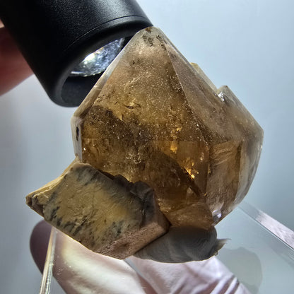 Seltene Rauchquarz Zepter , Orthoklas Stufe Erongo, Namibia 51*42*20mm