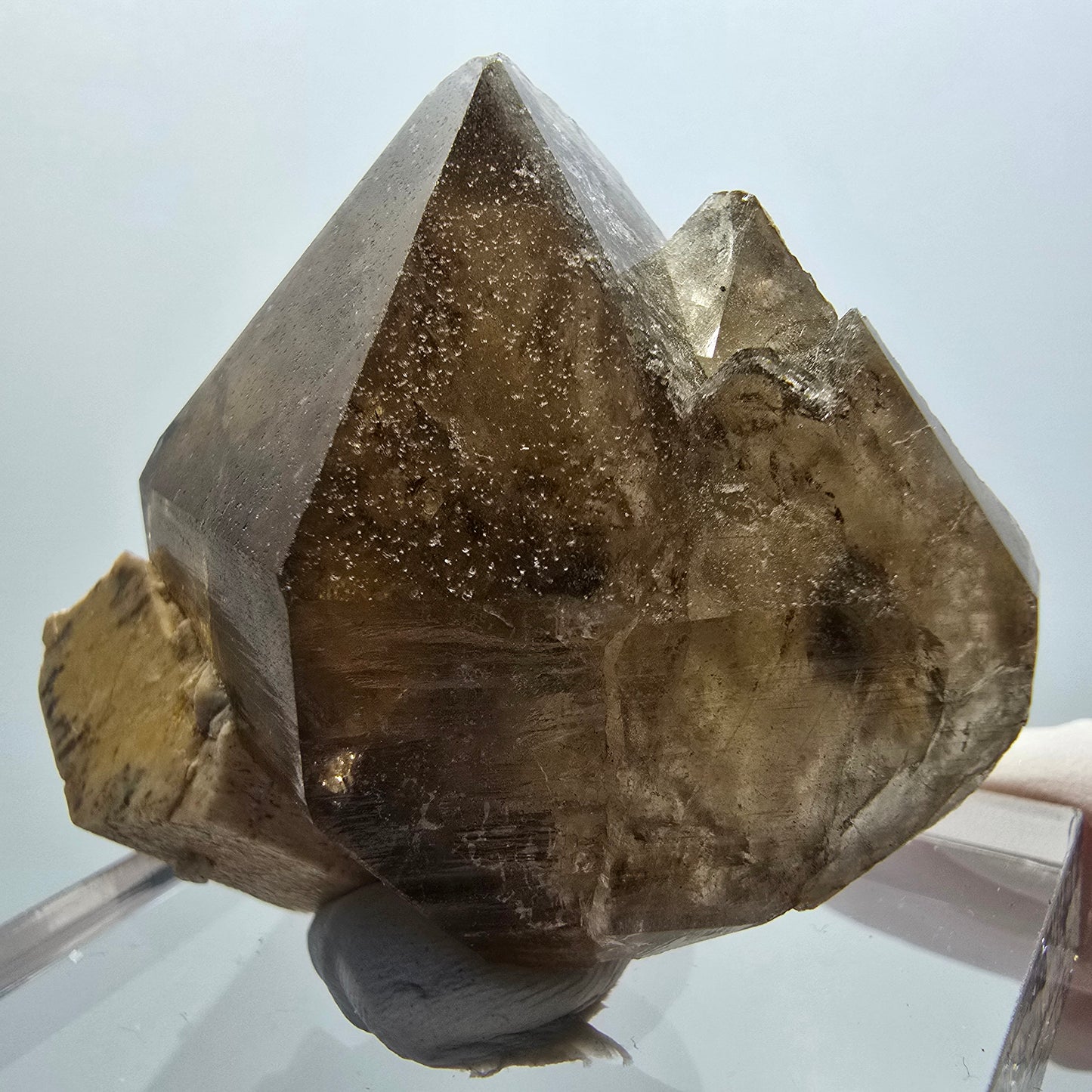 Seltene Rauchquarz Zepter , Orthoklas Stufe Erongo, Namibia 51*42*20mm