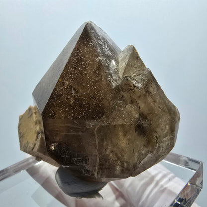 Seltene Rauchquarz Zepter , Orthoklas Stufe Erongo, Namibia 51*42*20mm
