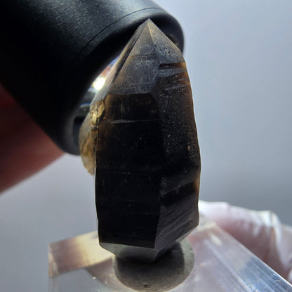 Seltene Phantom Skelett Rauchquarz Doppelender Spitze Erongo, Namibia 33*21*12mm