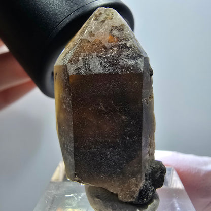 Rare smoky quartz with orthoclase tip, Erongo, Namibia, 37*19*15mm 