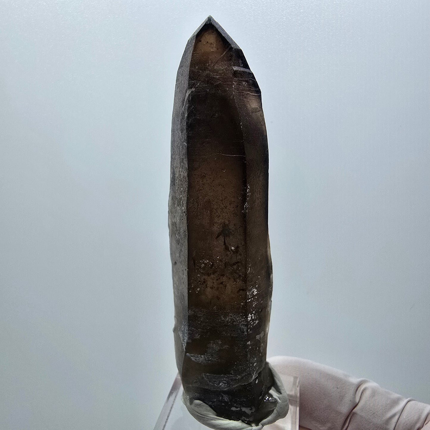 Seltenes Skelett Rauchquarz Zepter mit Hyalit Opal Erongo, Namibia 80*22*17mm