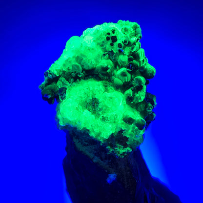 Seltenes Skelett Rauchquarz Zepter mit Hyalit Opal Erongo, Namibia 80*25*23mm