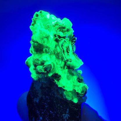 Seltenes Skelett Rauchquarz Zepter mit Hyalit Opal Erongo, Namibia 80*25*23mm