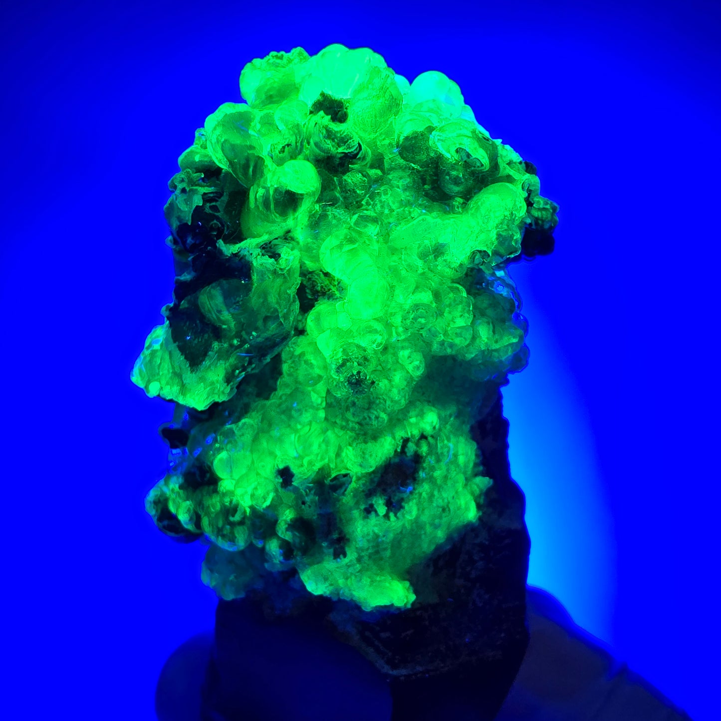 Seltenes Skelett Rauchquarz Zepter mit Hyalit Opal Erongo, Namibia 80*25*23mm