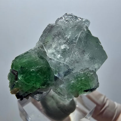 Rare clear phantom fluorite, schorl tourmaline, muscovite specimen Erongo, Namibia 45*29*23mm 