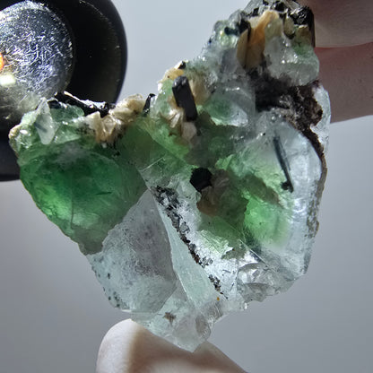 Rare clear phantom fluorite, schorl tourmaline, muscovite specimen Erongo, Namibia 45*29*23mm 