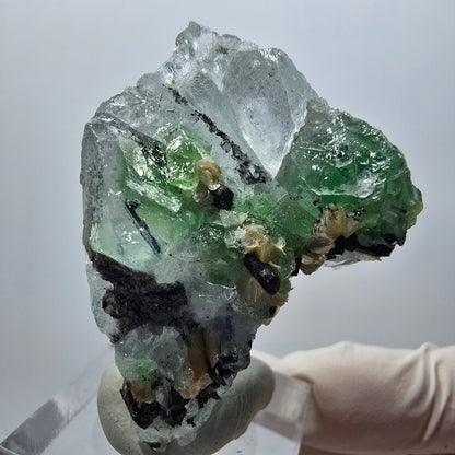 Rare clear phantom fluorite, schorl tourmaline, muscovite specimen Erongo, Namibia 45*29*23mm 