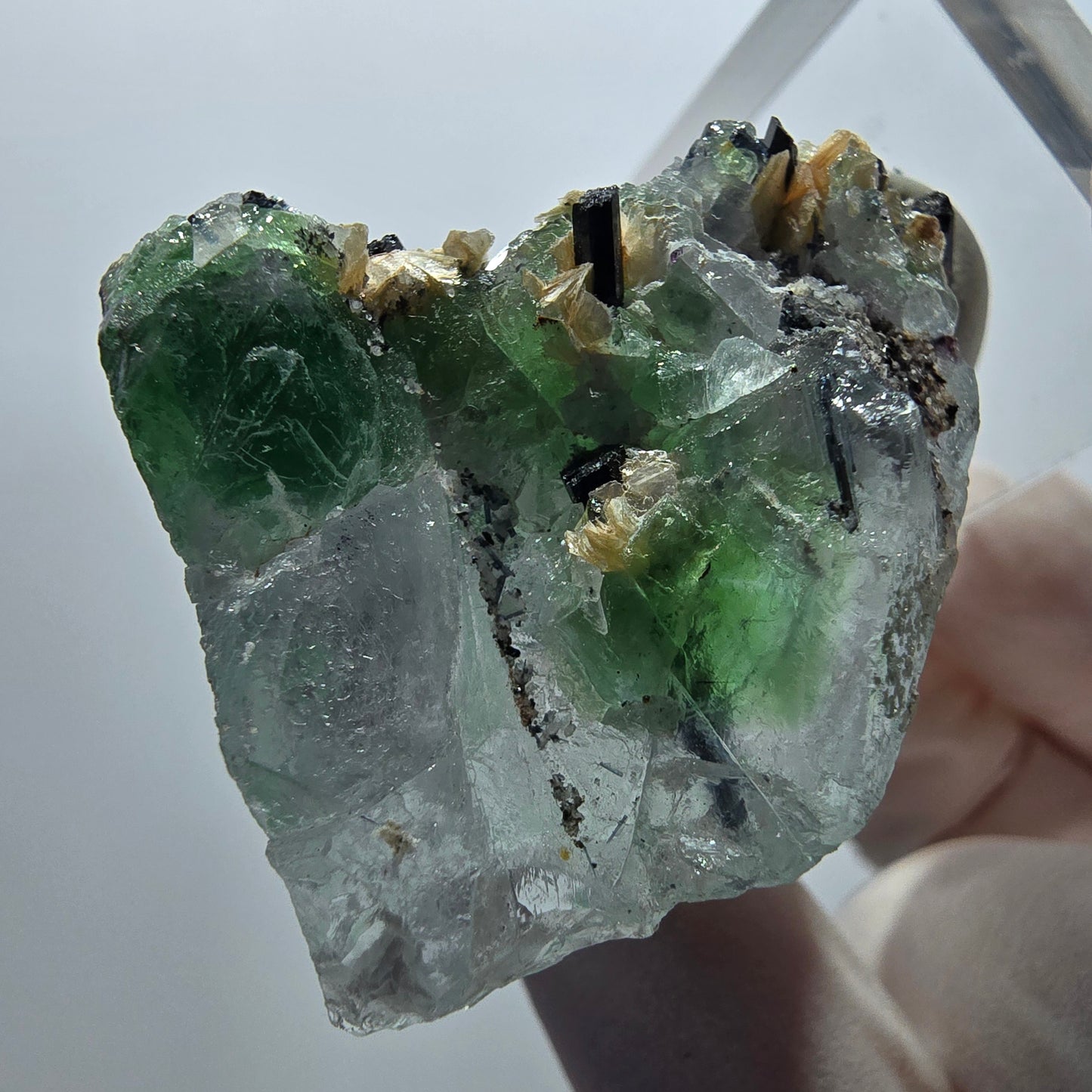 Rare clear phantom fluorite, schorl tourmaline, muscovite specimen Erongo, Namibia 45*29*23mm 