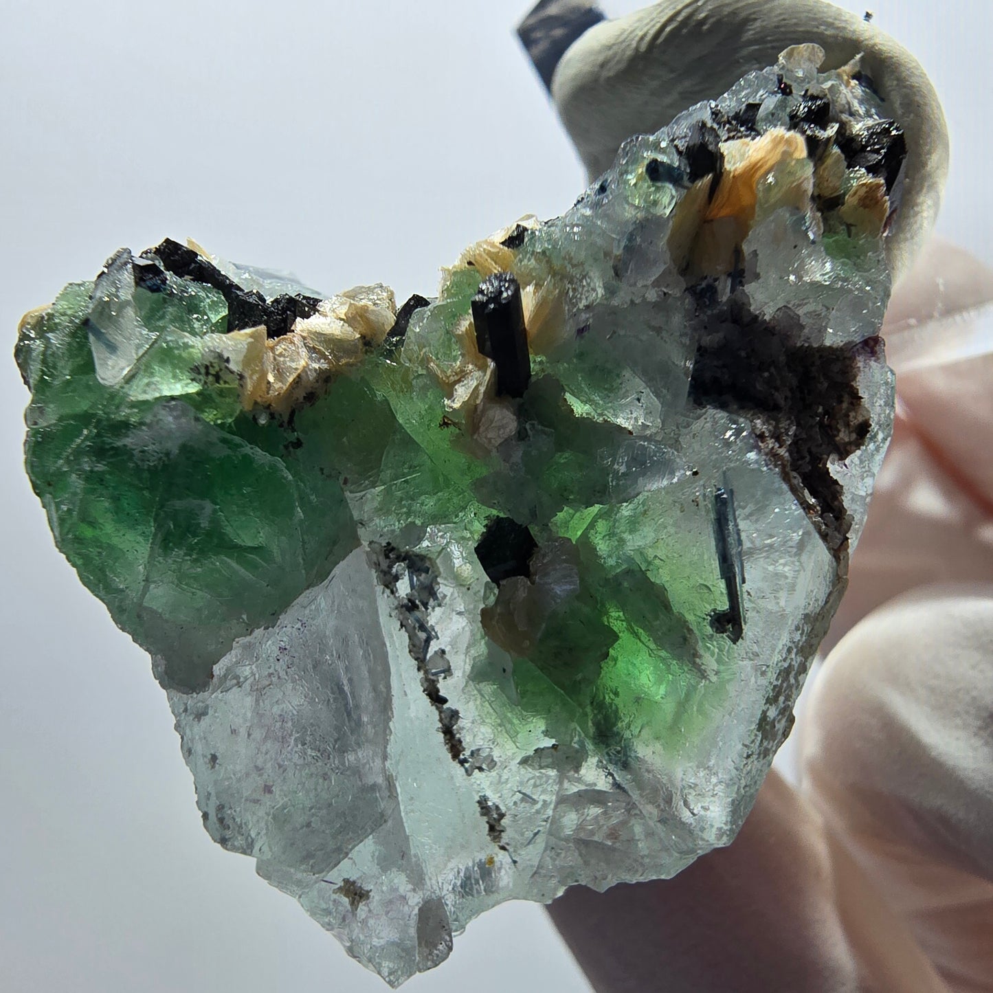 Rare clear phantom fluorite, schorl tourmaline, muscovite specimen Erongo, Namibia 45*29*23mm 