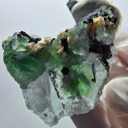 Rare clear phantom fluorite, schorl tourmaline, muscovite specimen Erongo, Namibia 45*29*23mm 