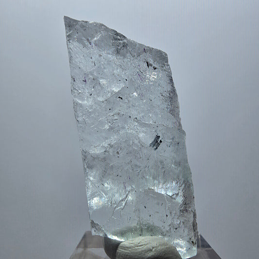 Extremely clear Fluorite crystal, white with Schörl Tourmaline Erongo, Namibia 46*19*17mm 