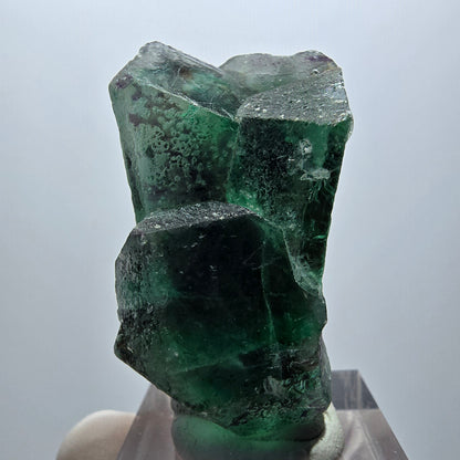 Spécimen cubique de fluorite fantôme très clair, vert-brun, Erongo, Namibie, 44*23*24 mm 