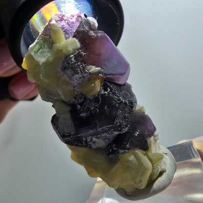 Phantom fluorite cube, hexagonal, Schörl tourmaline, muscovite Erongo, Namibia 44*26*25mm 