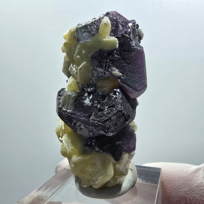 Phantom fluorite cube, hexagonal, Schörl tourmaline, muscovite Erongo, Namibia 44*26*25mm 