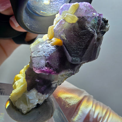 Phantom fluorite cube, hexagonal, Schörl tourmaline, muscovite Erongo, Namibia 44*26*25mm 