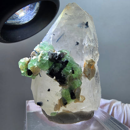 Phantom Fluorit, Rauchquarz, Schörl Turmalin, Muskovit, Hyalit Erongo, Namibia 39*30*17mm