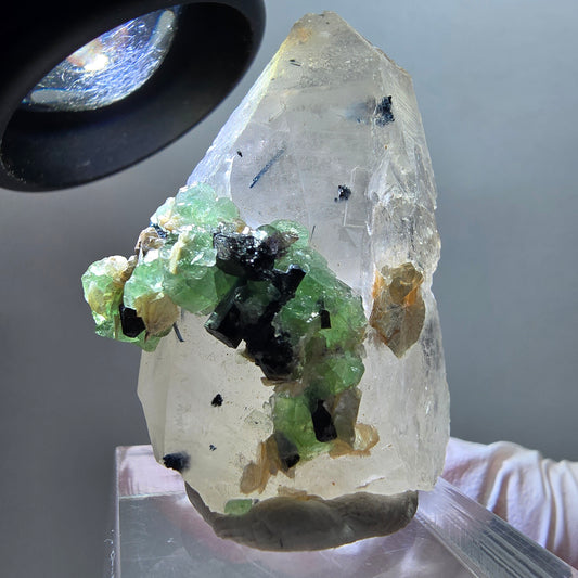 Phantom Fluorit, Rauchquarz, Schörl Turmalin, Muskovit, Hyalit Erongo, Namibia 39*30*17mm