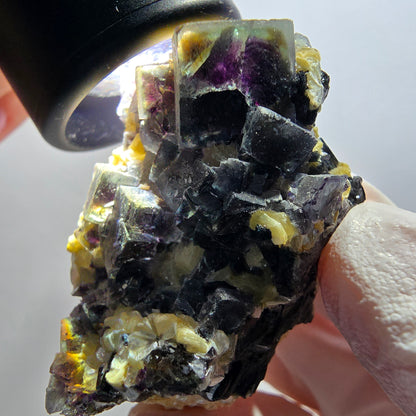 Cubes de fluorite fantôme colorée, tourmaline schorl, spécimen de muscovite d'Erongo, Namibie 46*33*27 mm 