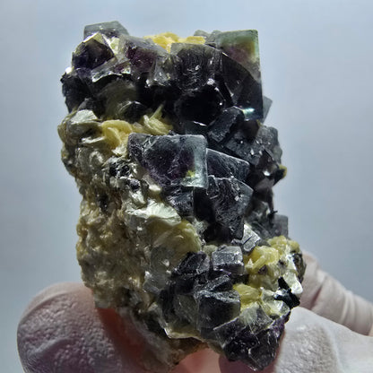 Cubes de fluorite fantôme colorée, tourmaline schorl, spécimen de muscovite d'Erongo, Namibie 46*33*27 mm 