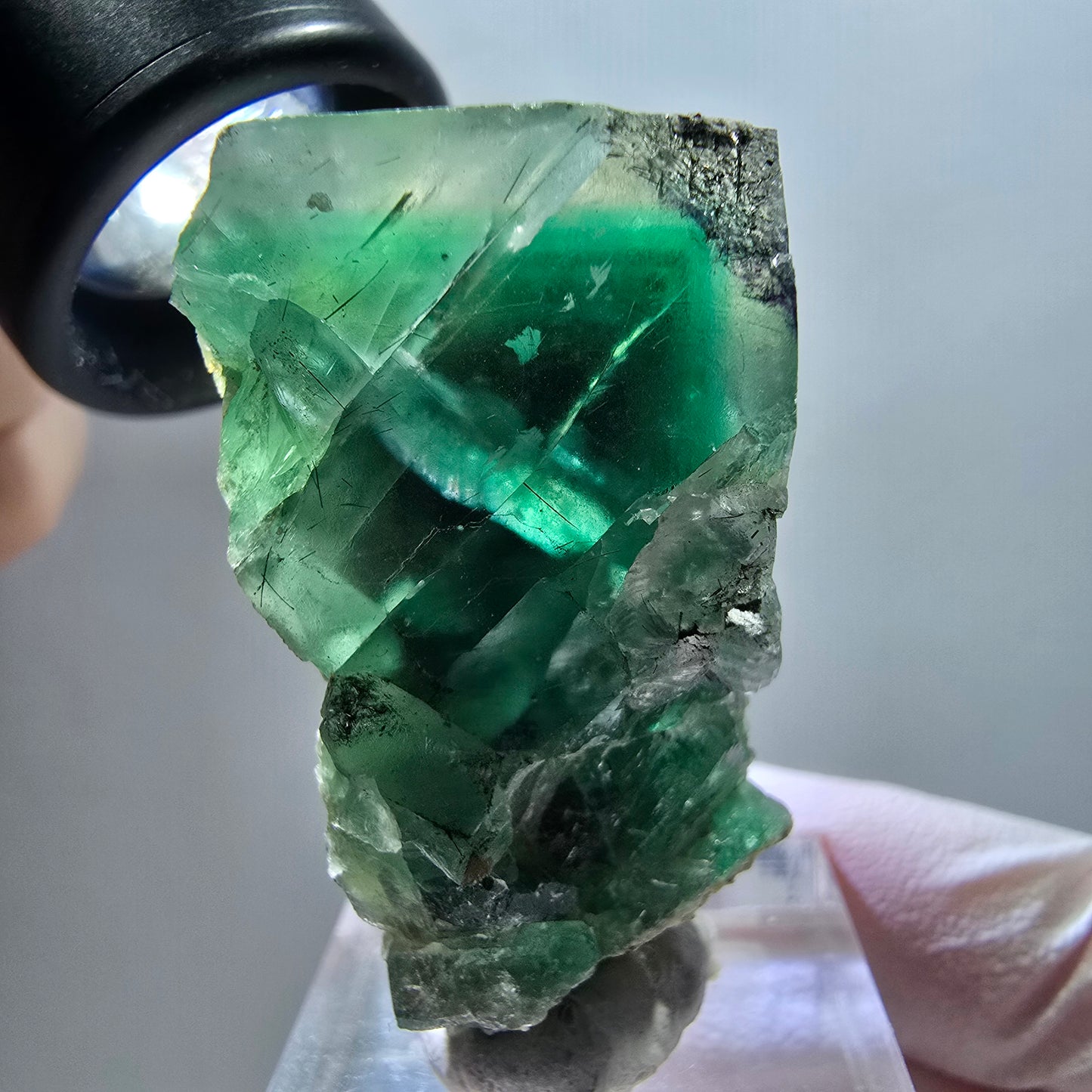 Cube de fluorite fantôme, spécimen d'orthose, vert et blanc, Erongo, Namibie 40*33*22 mm 