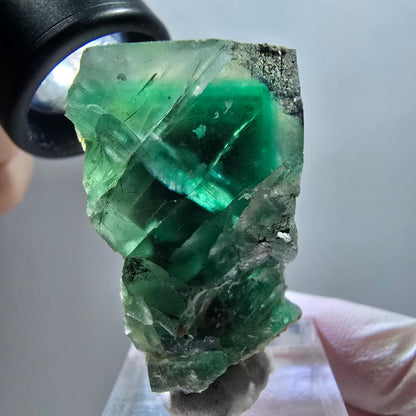 Cube de fluorite fantôme, spécimen d'orthose, vert et blanc, Erongo, Namibie 40*33*22 mm 