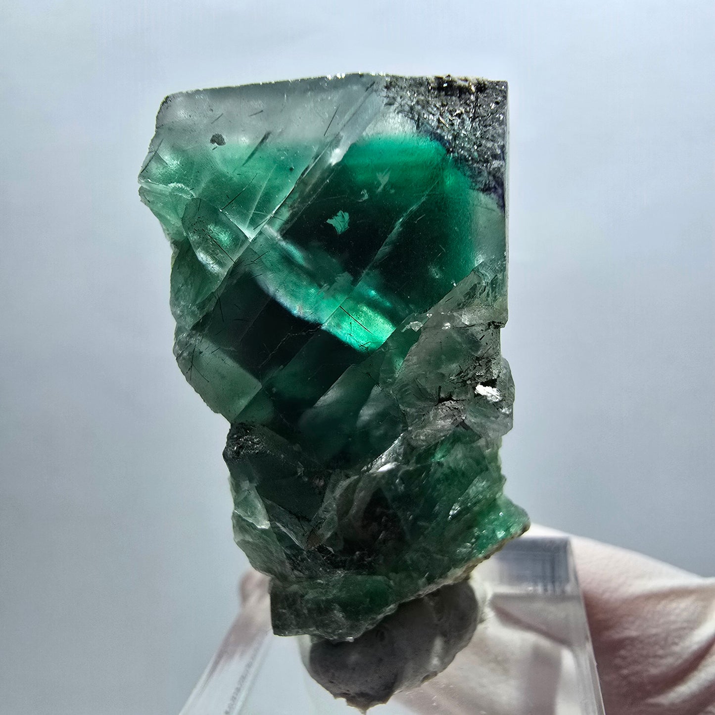 Cube de fluorite fantôme, spécimen d'orthose, vert et blanc, Erongo, Namibie 40*33*22 mm 
