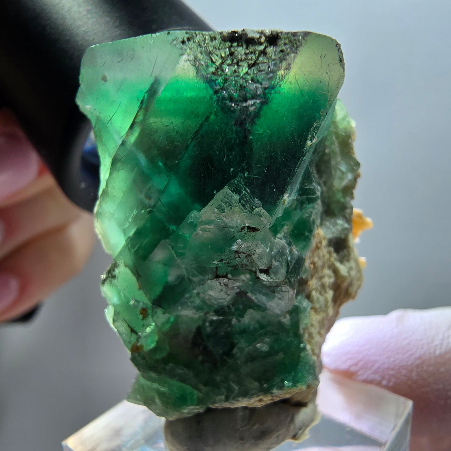 Cube de fluorite fantôme, spécimen d'orthose, vert et blanc, Erongo, Namibie 40*33*22 mm 