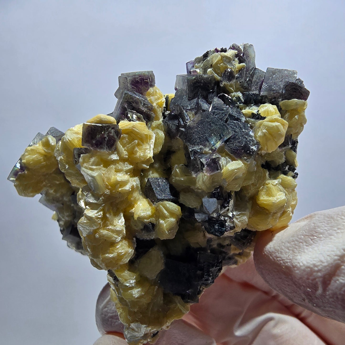 Cubes de fluorite fantôme colorée, tourmaline schorl, spécimen de muscovite d'Erongo, Namibie 62*49*33 mm 