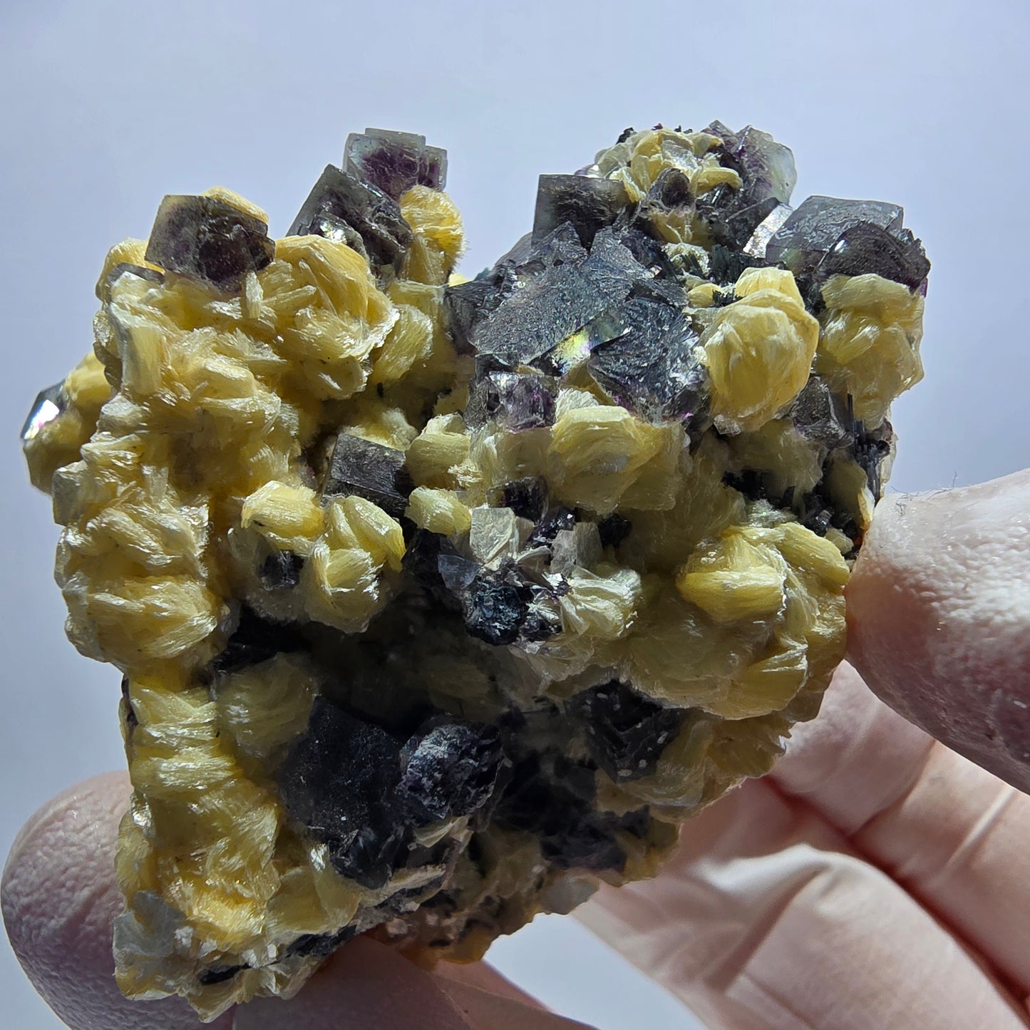 Cubes de fluorite fantôme colorée, tourmaline schorl, spécimen de muscovite d'Erongo, Namibie 62*49*33 mm 
