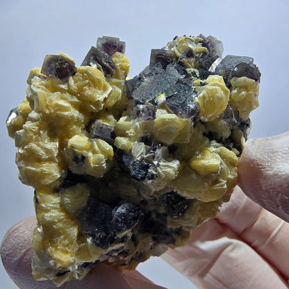 Cubes de fluorite fantôme colorée, tourmaline schorl, spécimen de muscovite d'Erongo, Namibie 62*49*33 mm 