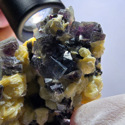 Cubes de fluorite fantôme colorée, tourmaline schorl, spécimen de muscovite d'Erongo, Namibie 62*49*33 mm 