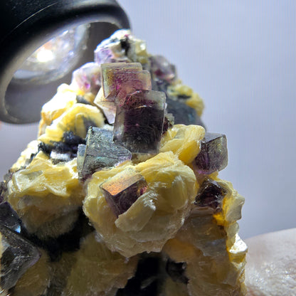 Cubes de fluorite fantôme colorée, tourmaline schorl, spécimen de muscovite d'Erongo, Namibie 62*49*33 mm 