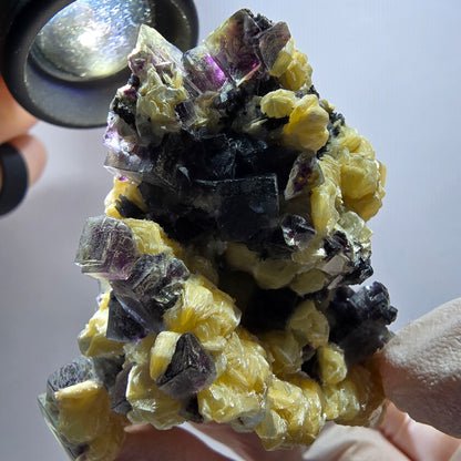 Cubes de fluorite fantôme colorée, tourmaline schorl, spécimen de muscovite d'Erongo, Namibie 62*49*33 mm 
